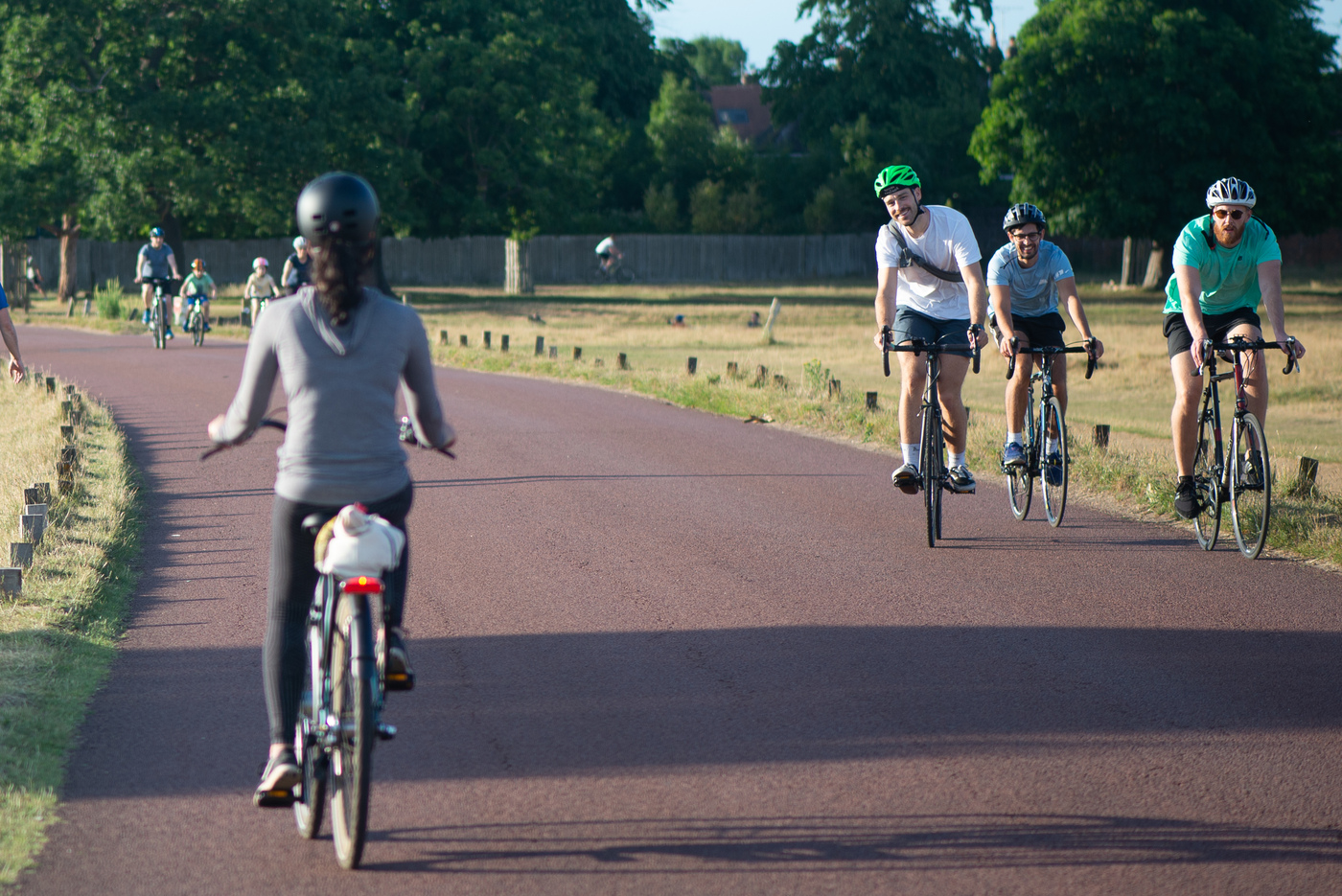 Movement strategy The Royal Parks